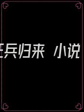狂兵归来 小说